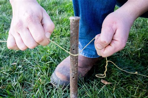 have a stake in something .